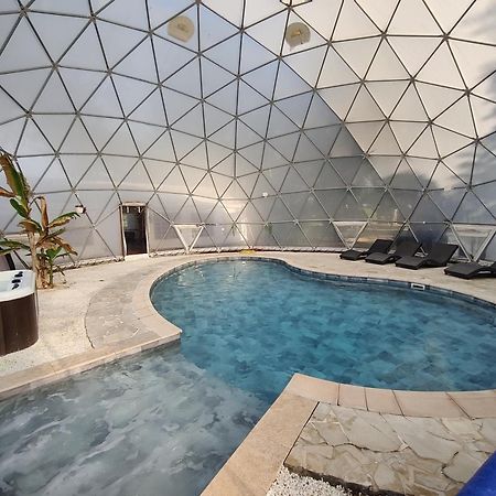 Mas Du Versadou, Dans Un Espace Naturel Protege, Piscine Couverte Chauffee Toute L'Annee, Spa Et Salle De Jeux Сен-Жиль Экстерьер фото